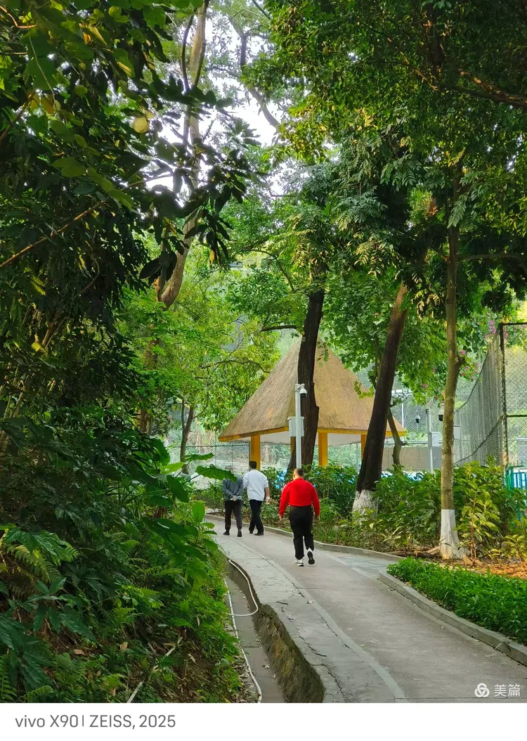 游永泰公园,踏青赏花"樱你而美"